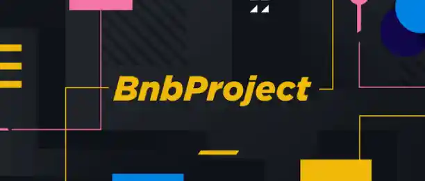 bnb white papers project
