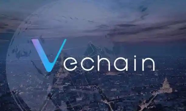 What is VeChain VET